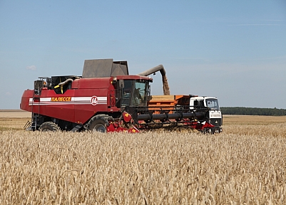 Палессе GS-16 на уборке урожая в СПК "Остромечево" Беларусь