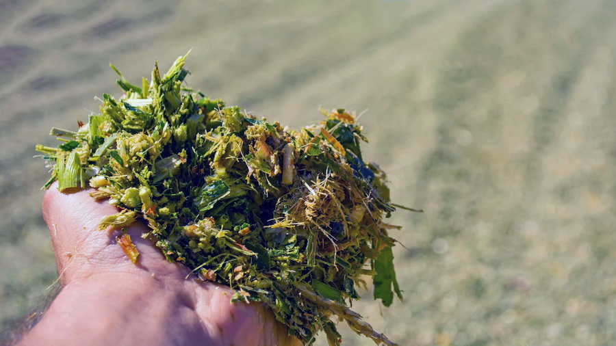 Кормовая масса