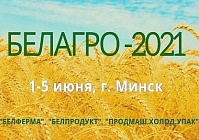 Дыхание «Белагро – 2021»: покажем комбайны в индустриальном парке